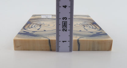 Stabilised mammoth ivory scales