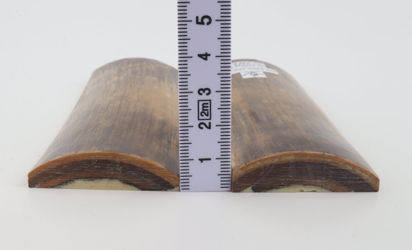 Stabilized mammoth bark scales