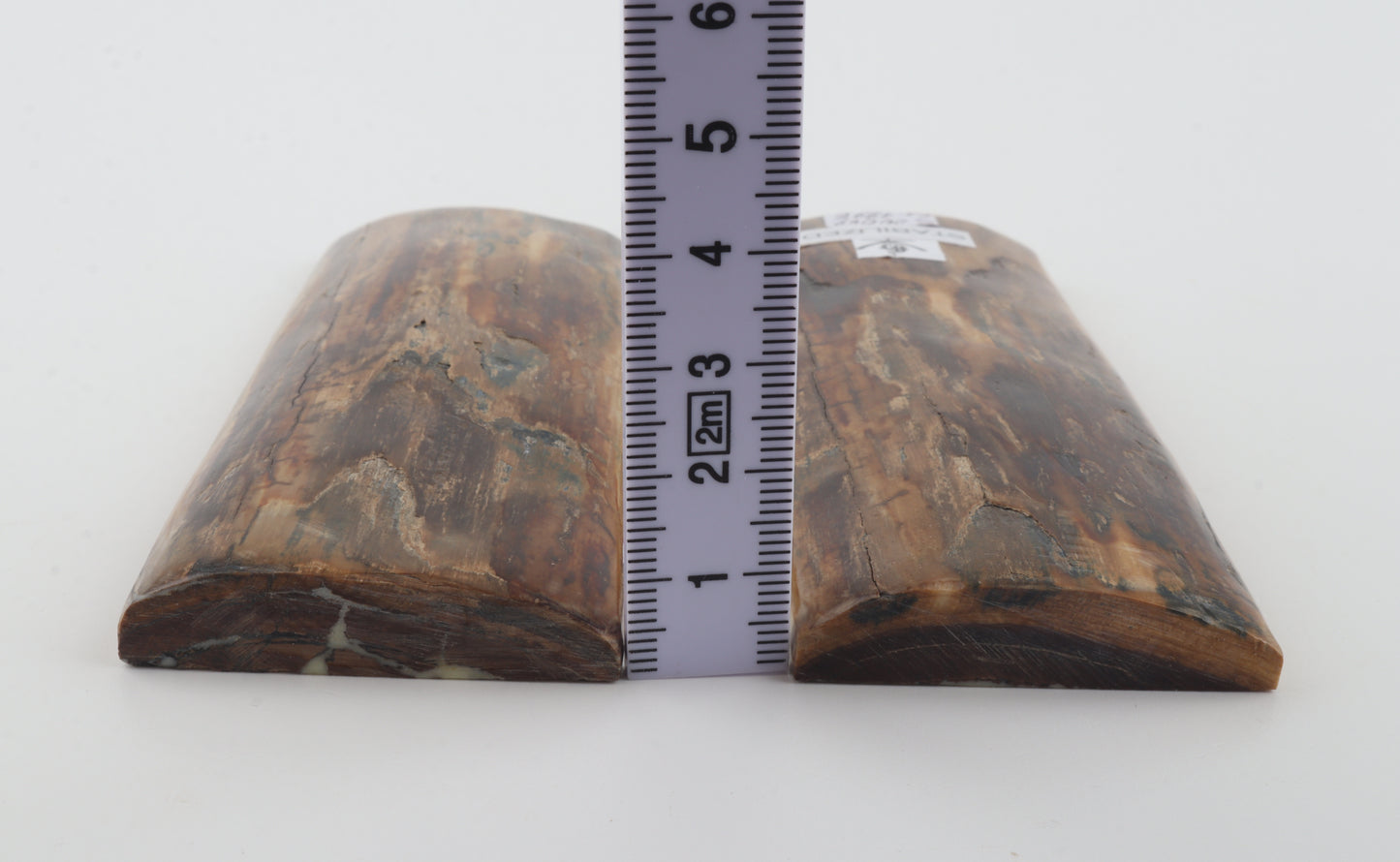 Stabilised mammoth bark scales