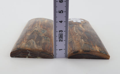 Stabilised mammoth bark scales