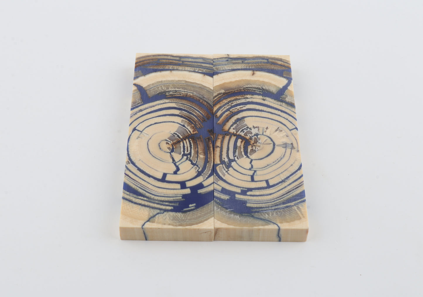 Stabilised mammoth ivory scales