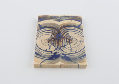 Stabilised mammoth ivory scales