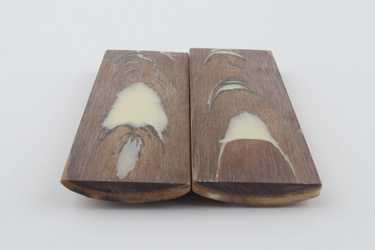 Stabilised mammoth bark scales