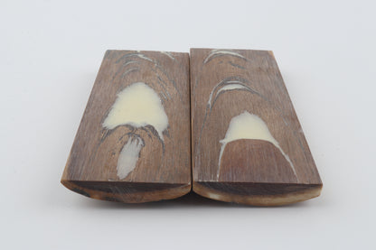 Stabilised mammoth bark scales