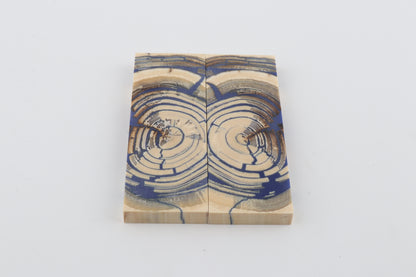 Stabilised mammoth ivory scales