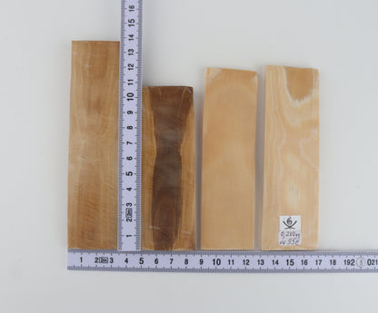 Natural mammoth ivory pieces