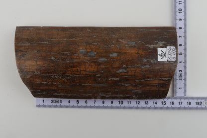 Brown woolly mammoth bark