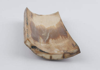 Brown woolly mammoth bark