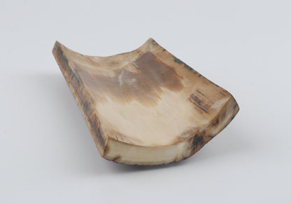 Brown woolly mammoth bark