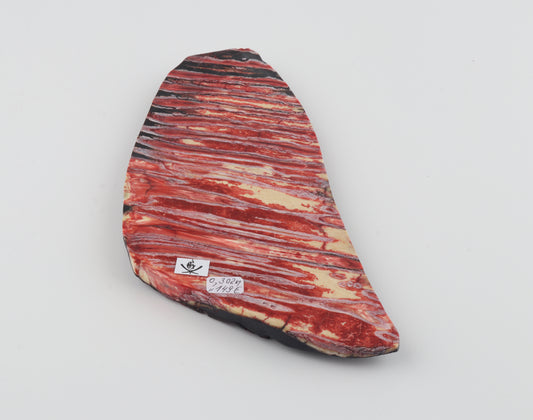 Stabilised mammoth molar block