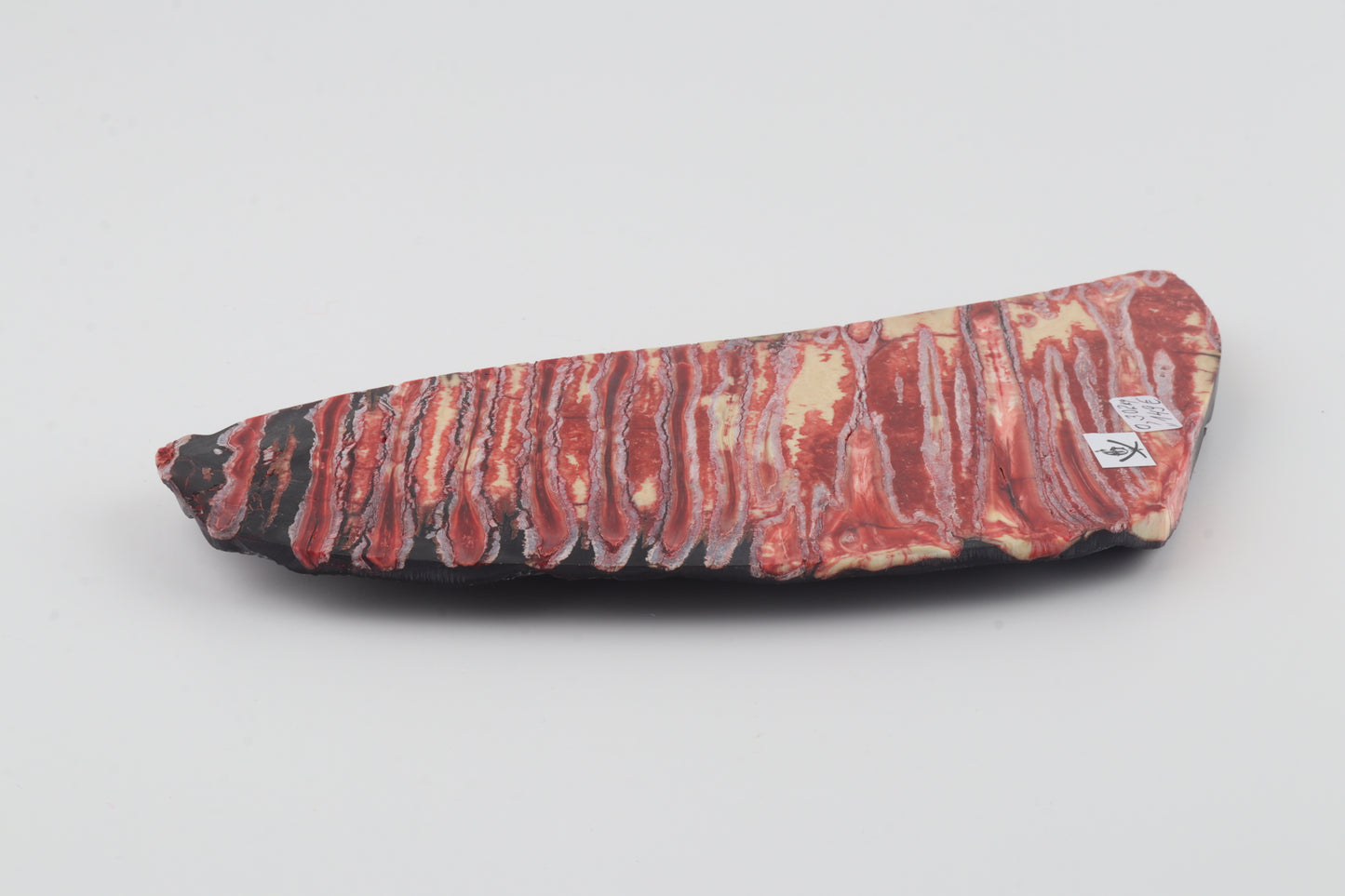 Stabilised mammoth molar block