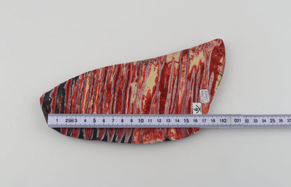 Stabilised mammoth molar block