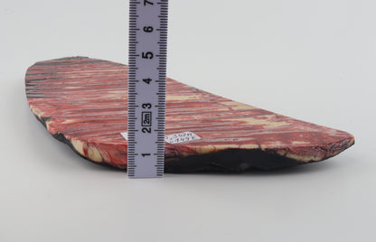 Stabilised mammoth molar block