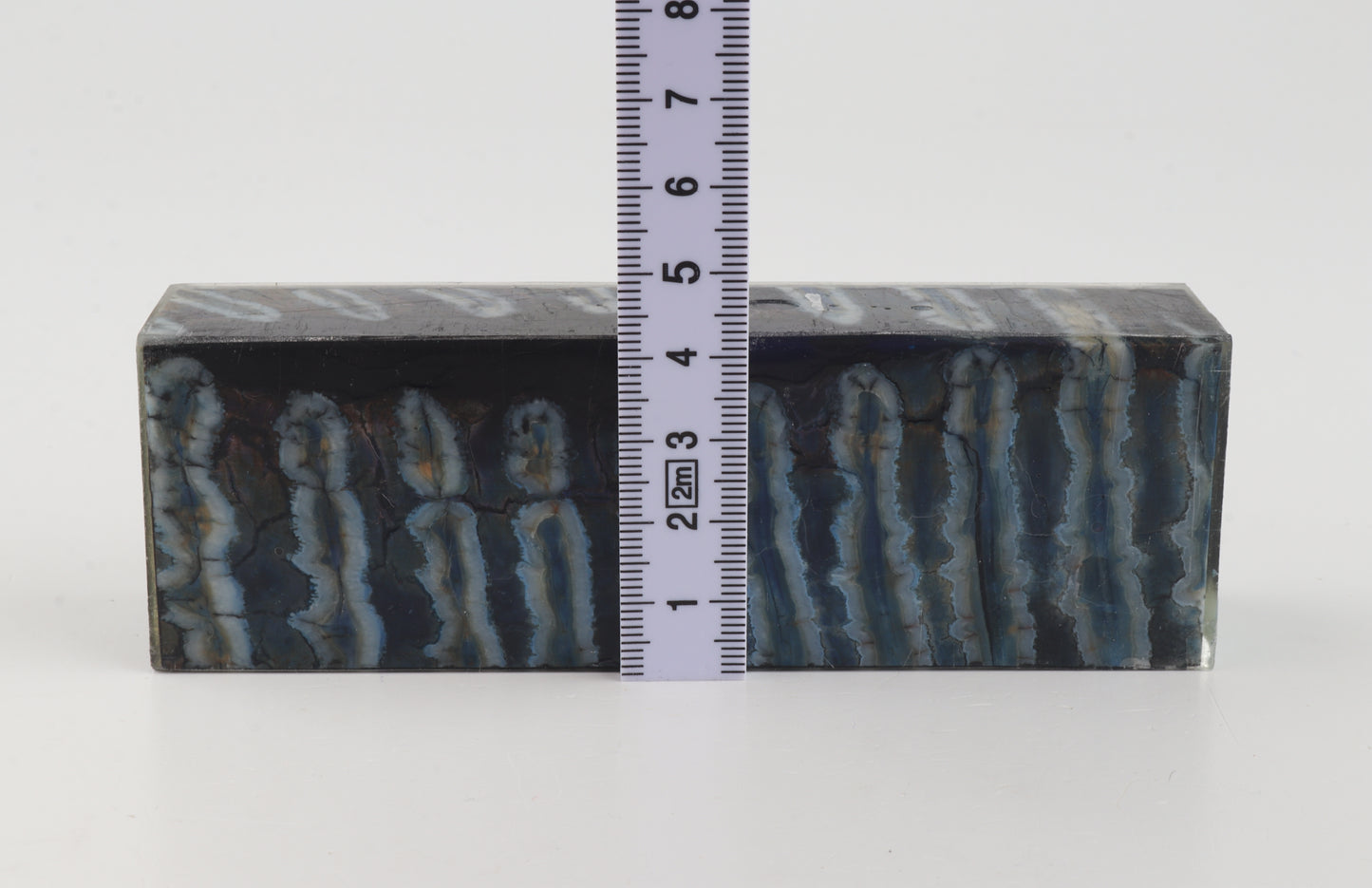 Stabilised mammoth molar block