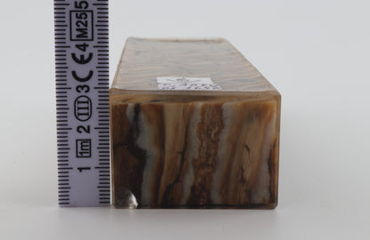 Stabilized mammoth molar block