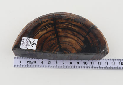 Stabilized mammoth ivory piece