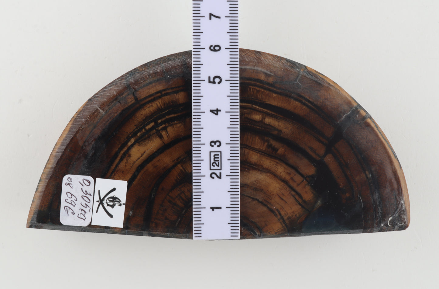 Stabilized mammoth ivory piece
