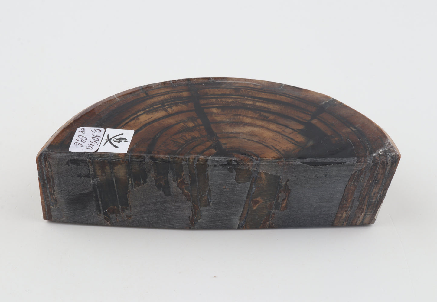 Stabilized mammoth ivory piece