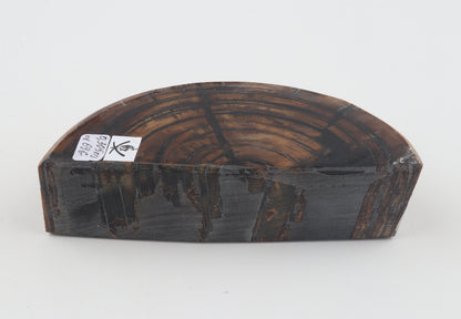 Stabilized mammoth ivory piece