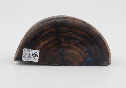Stabilized mammoth ivory piece