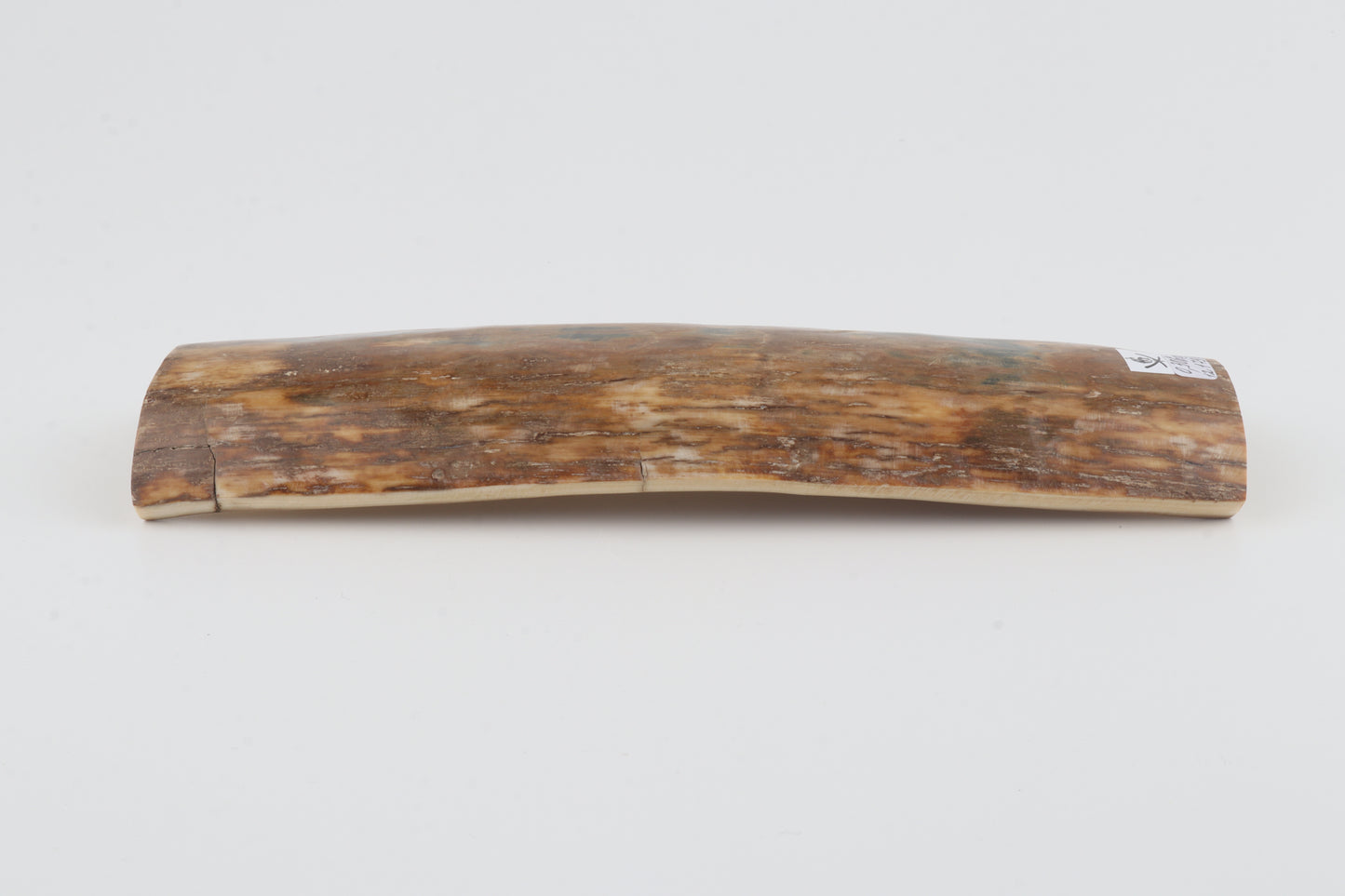 Natural mammoth bark