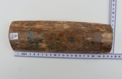 Natural mammoth bark