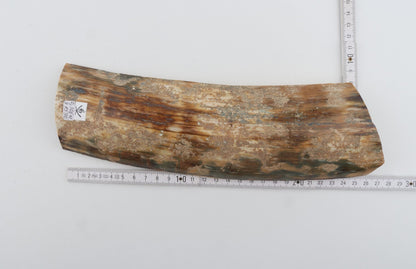 Natural mammoth bark