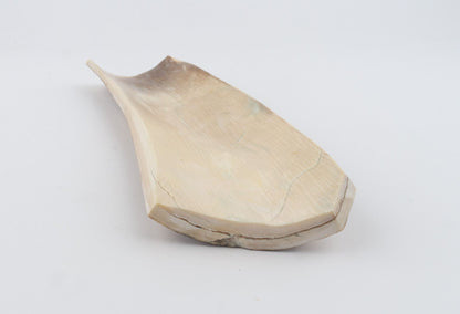 Natural mammoth bark
