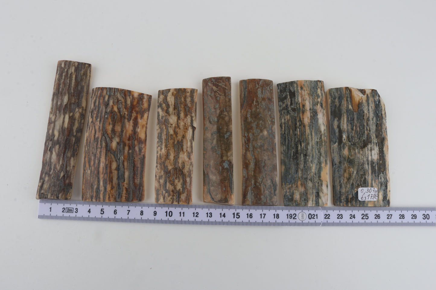 Natural mammoth bark pieces