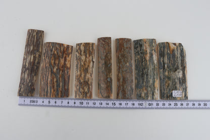 Natural mammoth bark pieces