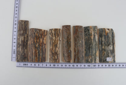Natural mammoth bark pieces