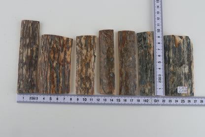 Natural mammoth bark pieces