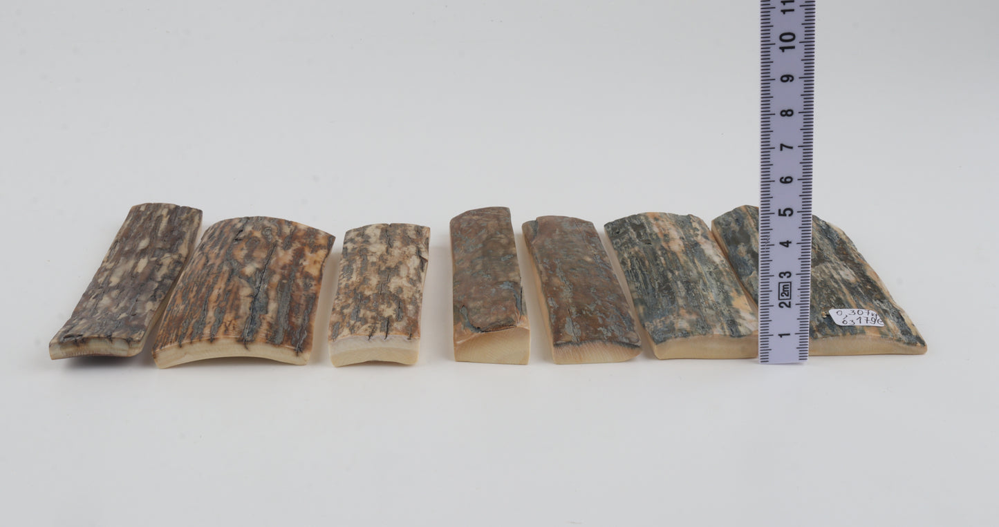 Natural mammoth bark pieces