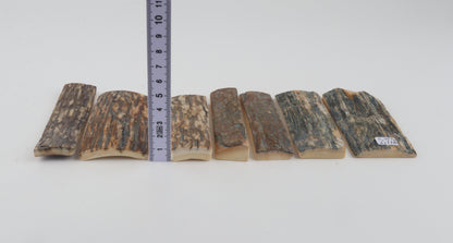 Natural mammoth bark pieces