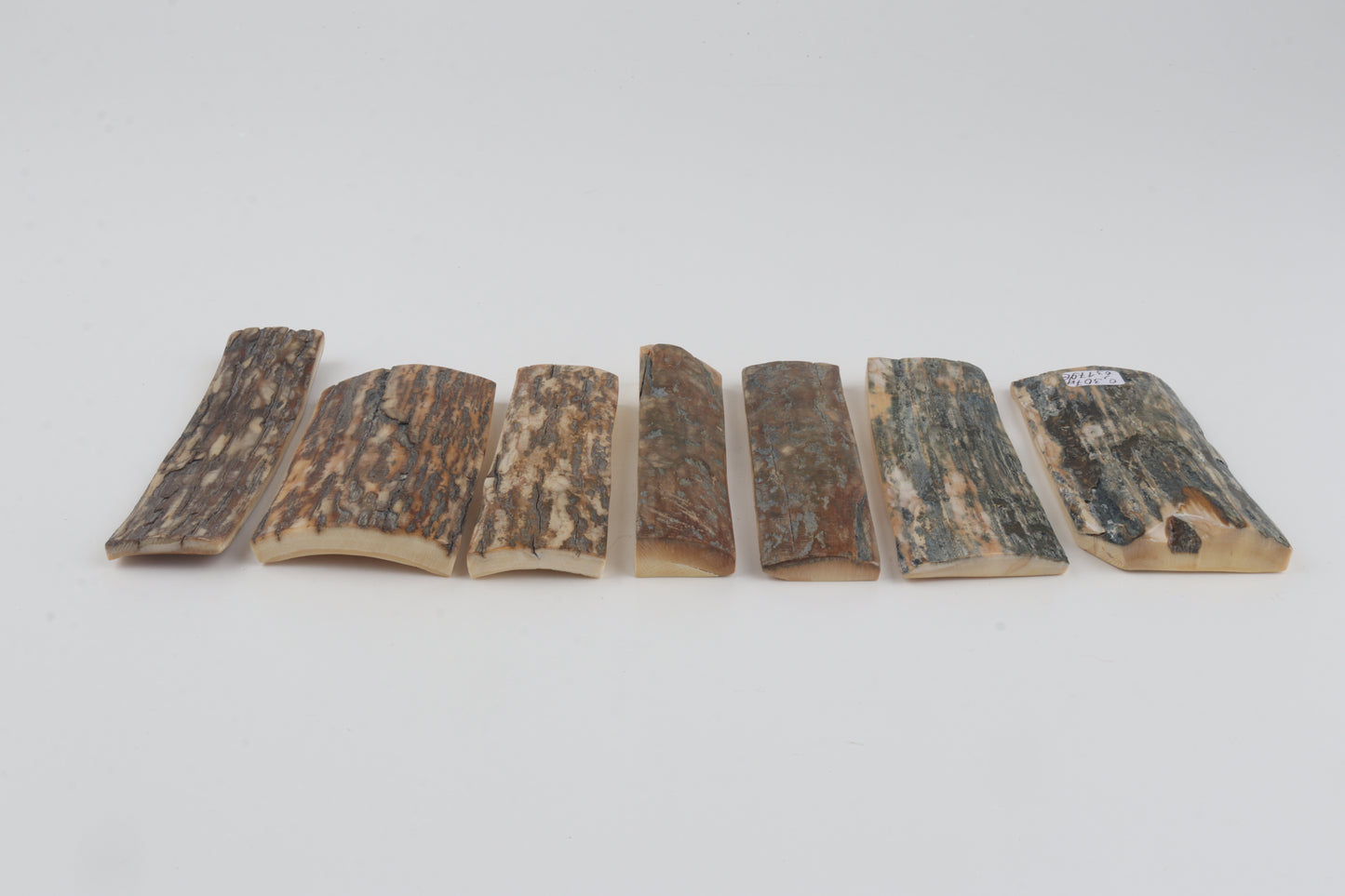 Natural mammoth bark pieces