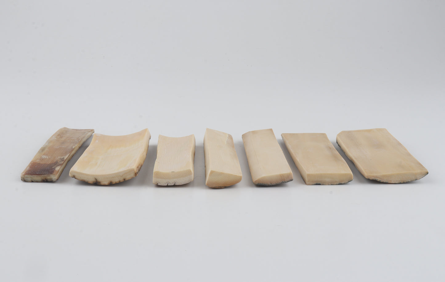 Natural mammoth bark pieces