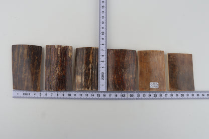 Natural woolly mammoth bark