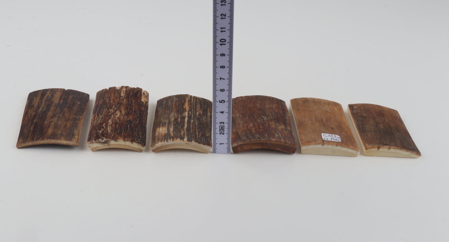 Natural woolly mammoth bark