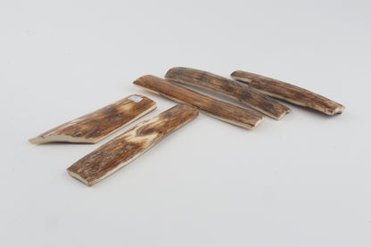 Brown-orange mammoth bark pieces