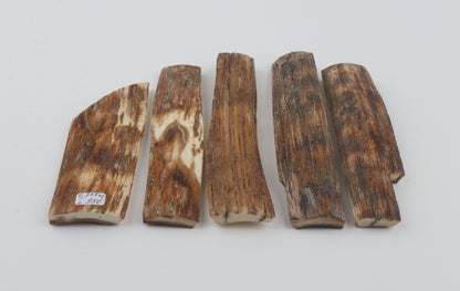 Brown-orange mammoth bark pieces