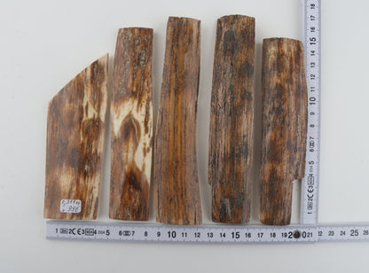 Brown-orange mammoth bark pieces