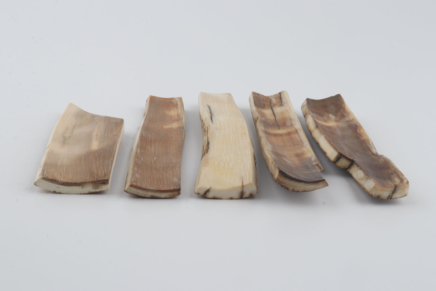 Brown-orange mammoth bark pieces