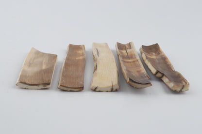 Brown-orange mammoth bark pieces