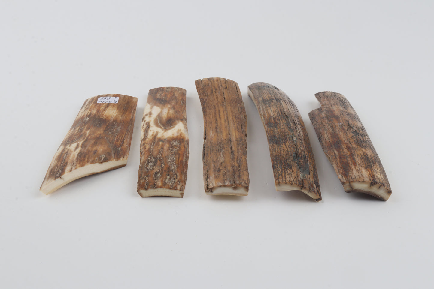 Brown-orange mammoth bark pieces