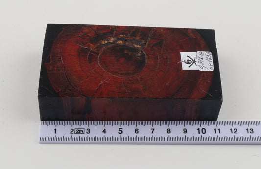 Stabilised mammoth ivory block