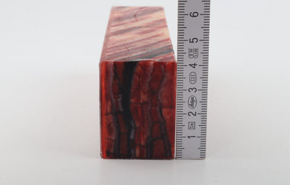 Stabilised mammoth molar block