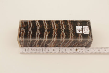 Stabilized mammoth molar block