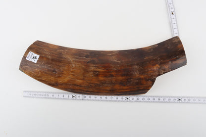 Brown mammoth bark