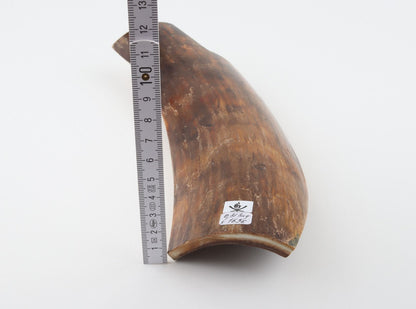 Brown mammoth bark