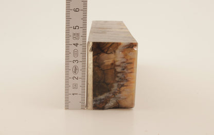 Stabilized mammoth molar block